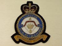 27 Squadron RAF Regiment blazer badge