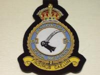 197 Sqdn KC wire blazer badge