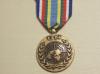 UN Central African Republic (UNMINURCA) miniature medal