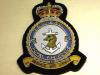 256 Squadron RAF QC wire blazer badge