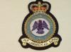 RAF Flying Training Command QC blazer badge