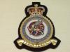 Air Support Command RAF blazer badge