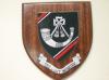 Light Infantry hand painted wooden Wall shield