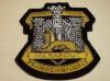 Devon & Dorsets (Old Pattern) blazer badge