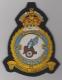 570 Squadron King's Crown Royal Air Force blazer badge