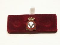 Air Training Corps lapel badge