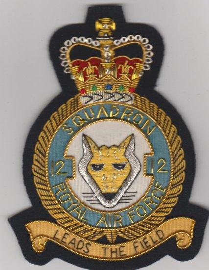 12 squadron RAF QC blazer badge - Click Image to Close
