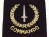 Commando blazer badge