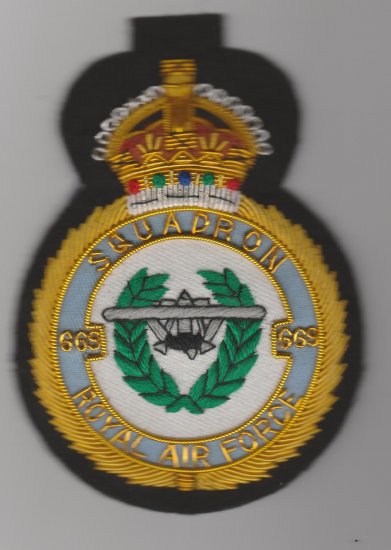 669 Squadron Royal Air force King's Crown blazer badge - Click Image to Close