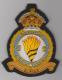 651 Squadron Royal Air Force King's Crown blazer badge