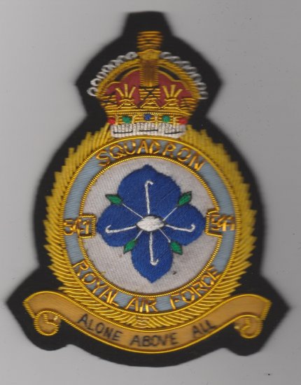 541 Squadron Royal Air Force King's Crown wire blazer badge - Click Image to Close