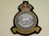 124 (Baroda) Squadron RAF KC blazer badge
