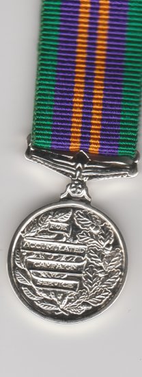 Accumulated Campaign Service medal 2011 full size copy medal - Click Image to Close