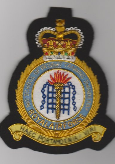 No 7 RAF School of Recruit Training Swinderby blazer badge - Click Image to Close