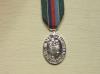 Volunteer Reserve Service minature medal