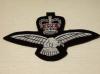 RAF Representative blazer badge