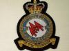 46 Sqdn RAF QC blazer badge