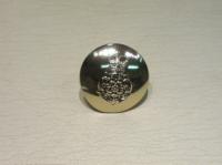 Intelligence Corps large button