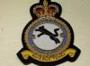 99 Squadron RAF QC blazer badge