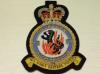 79 Squadron RAF QC blazer badge