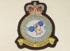 21 Sqdn RAF QC blazer badge