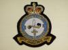 1 Signals Unit RAF blazer badge