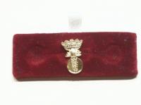 Irish Fusiliers lapel badge