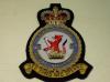 110 Squadron RAF QC blazer badge