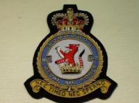 110 Squadron RAF QC blazer badge