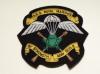 SBS Royal Marines blazer badge