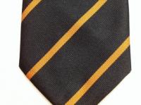 Devonshire and Dorset Regiment polyester striped tie
