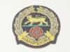 Hampshire Regiment (pre 1946) blazer badge