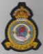 575 Squadron King's Crown Royal Air Force blazer badge