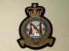 50 Squadron RAF QC blazer badge