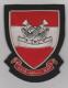 Trucial Oman Scouts Arabic blazer badge