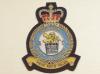 101 Squadron RAF QC blazer badge