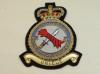 48 Squadron RAF Regt blazer badge