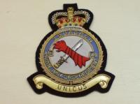 48 Squadron RAF Regt blazer badge