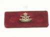 South Staffordshire Regiment lapel pin