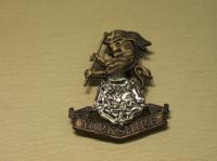 The Yorkshire Regiment (new) beret badge