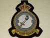 196 sqdn KC wire blazer badge