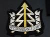Reconnaissance Corps blazer badge