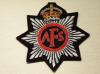 Auxiliary Fire Service (AFS) blazer badge
