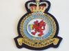 RAF Station Valley blazer badge