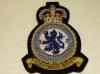 54 Squadron QC RAF blazer badge