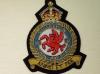 18 Squadron KC RAF blazer badge