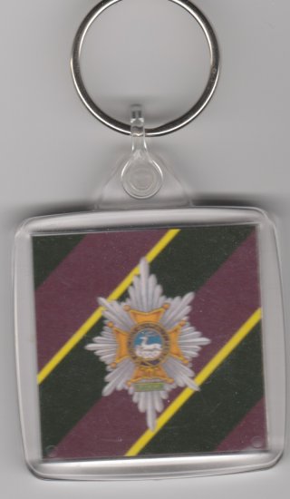 Worcestershire & Sherwood Foresters plastic key ring - Click Image to Close