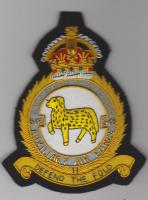 918 Auxiliary Air Force Squadron King's Crown wire blazer badge
