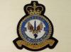 20 Squadron RAF Regt blazer badge