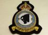 175 Squadron RAF KC blazer badge
